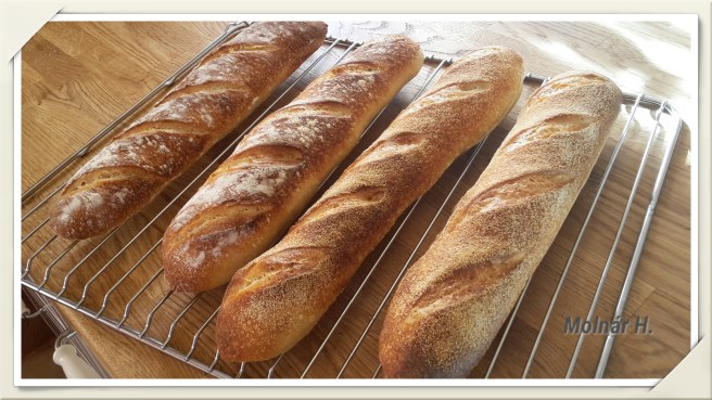 2016-07-07 18.06.49.jpg