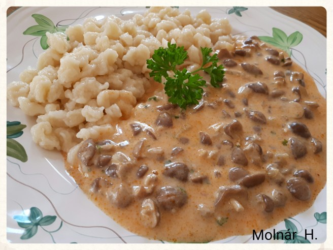 photo_editor_1494533708497