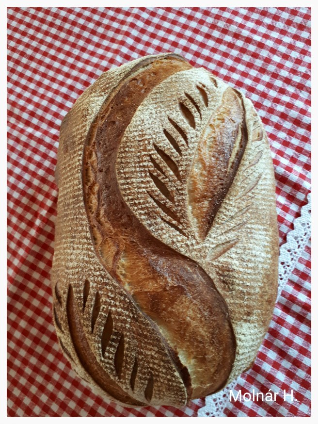 photo_editor_1494869975033