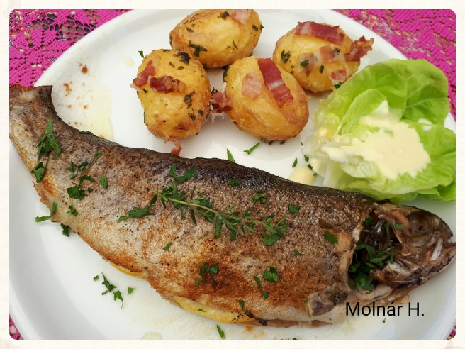 photo_editor_1495309338169